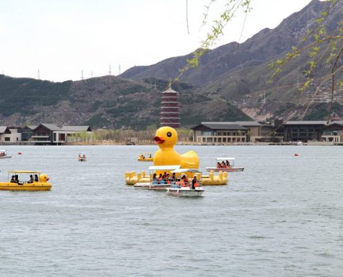 %e7%94%b5%e7%93%b6%e8%88%b91