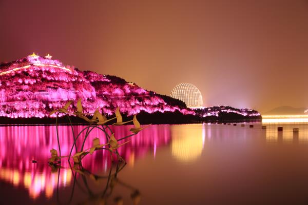 雁棲湖夜景欣賞