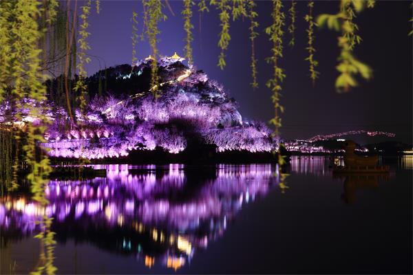 雁棲湖夜景欣賞