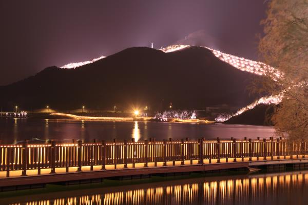 雁棲湖夜景欣賞