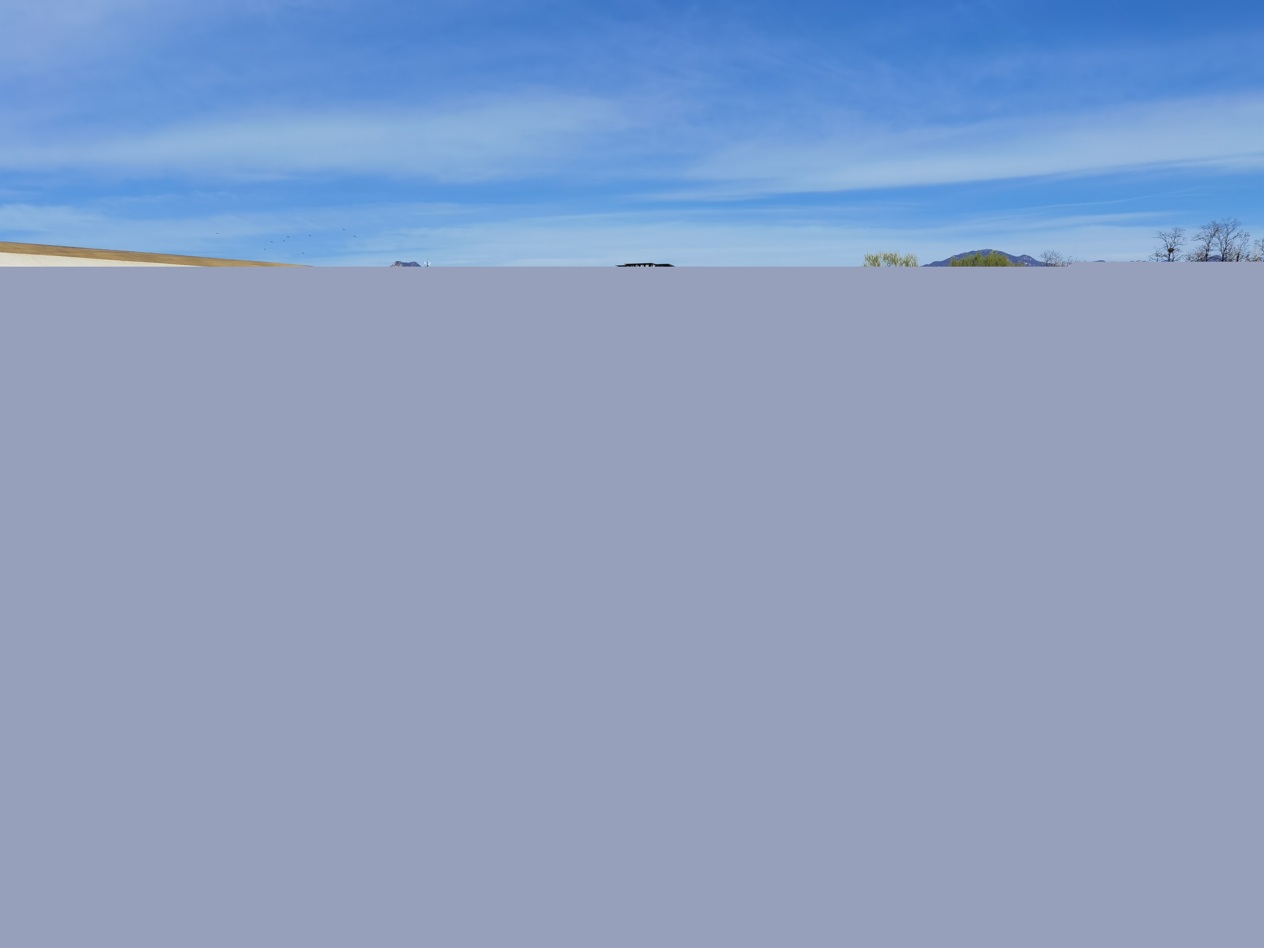 五人小丑魚電瓶船