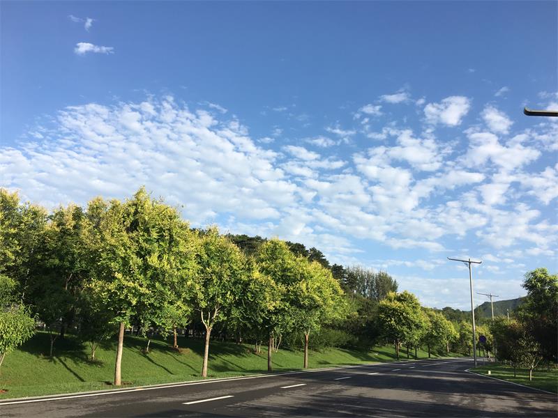 mmexport1499472249710