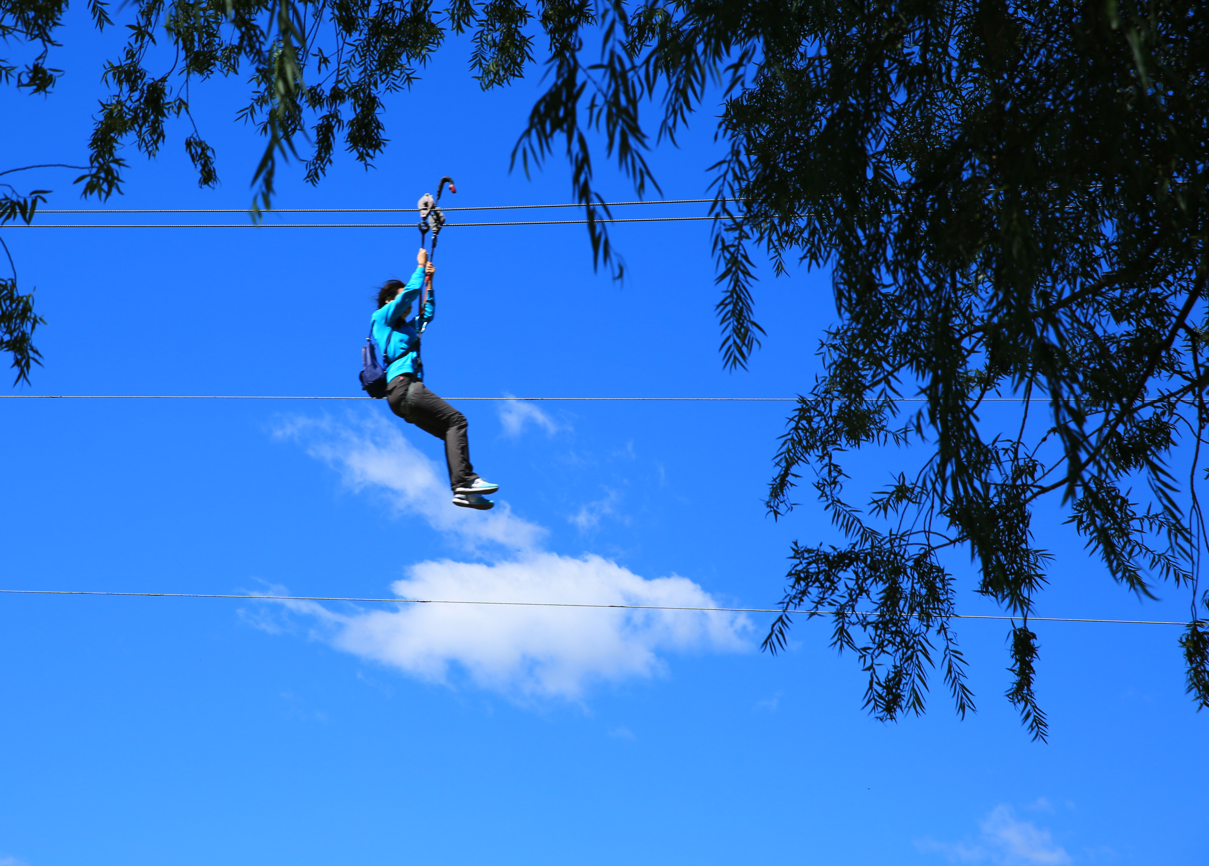 %e6%b0%b4%e4%b8%8a%e9%a3%9e%e9%99%8d