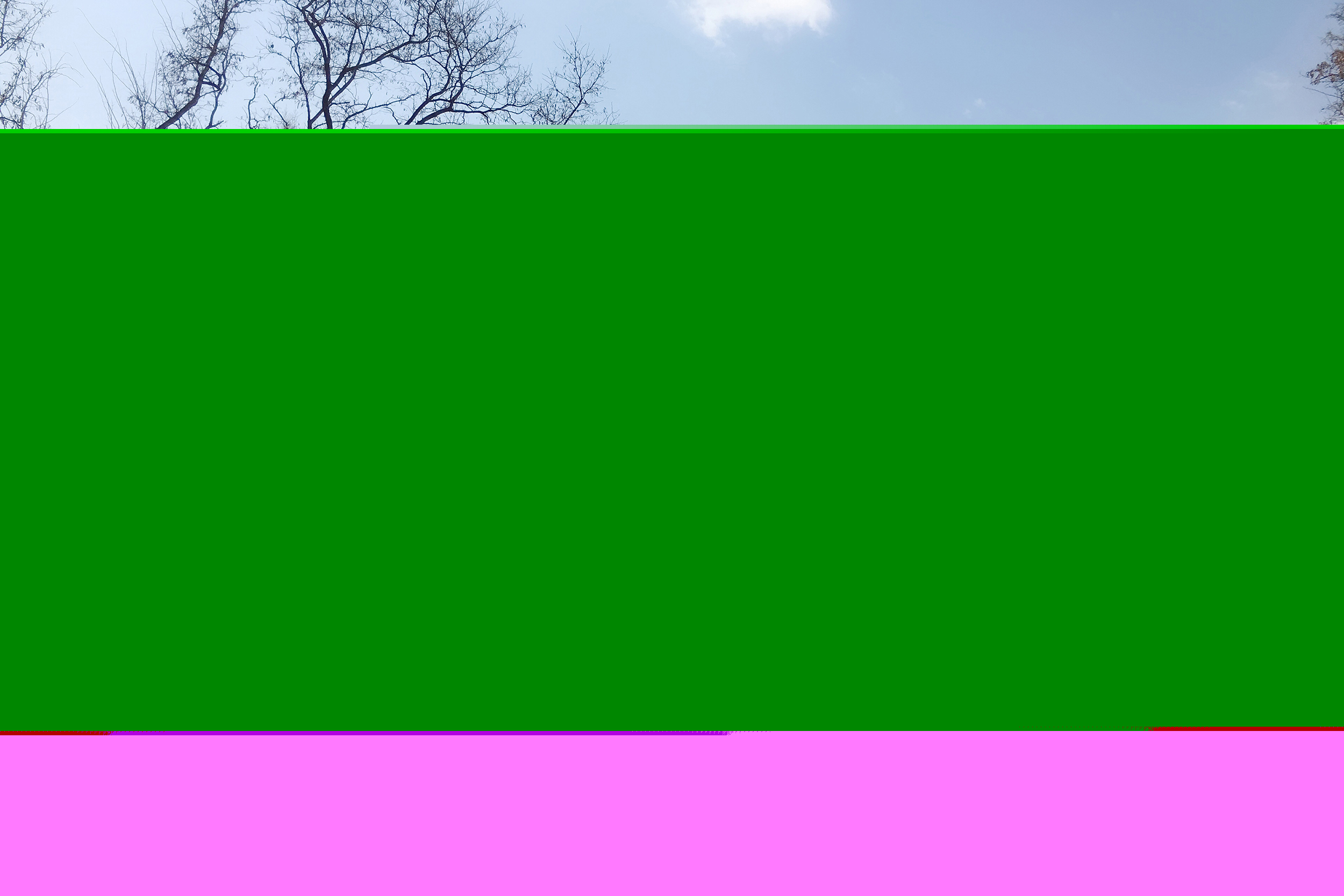 446831fd217a411aa768aa56cf8211ee