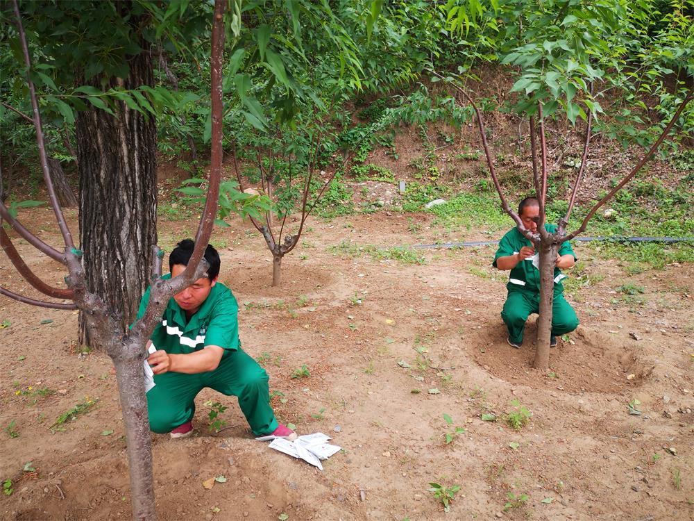 90ab48e14cade417c4746ac46e189be