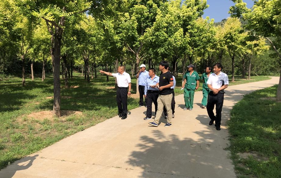 %e5%be%ae%e4%bf%a1%e5%9b%be%e7%89%87_20190626093239_%e7%9c%8b%e5%9b%be%e7%8e%8b