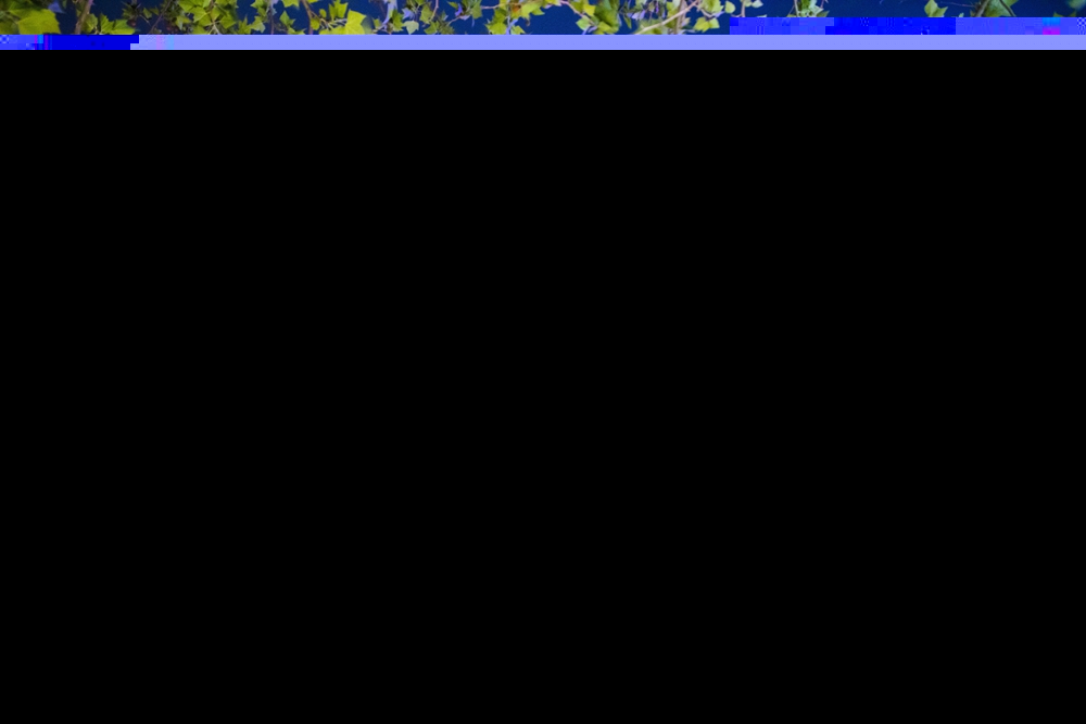 %e7%8e%8b%e6%b3%83%e6%9f%b3img_8327_%e5%89%af%e6%9c%ac