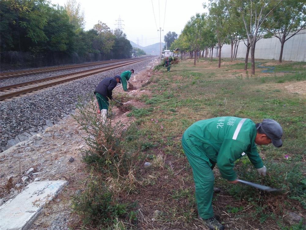 %e5%be%ae%e4%bf%a1%e5%9b%be%e7%89%87_20191027105435