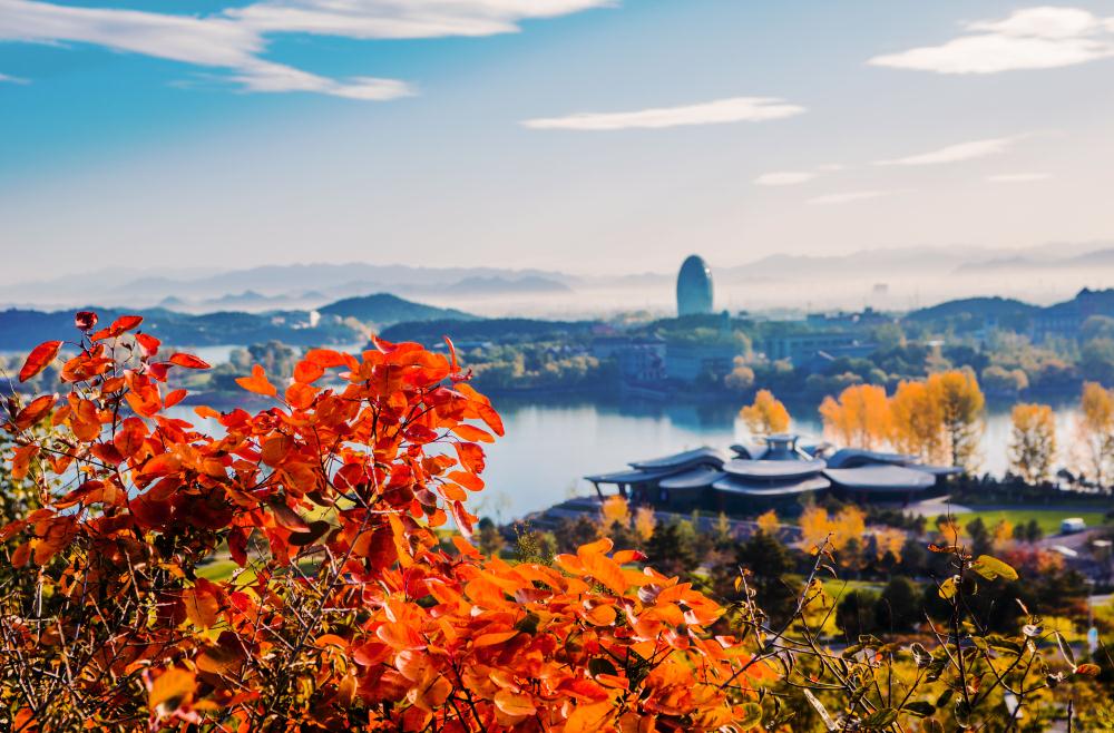 %e9%9b%81%e6%a0%96%e6%b9%962