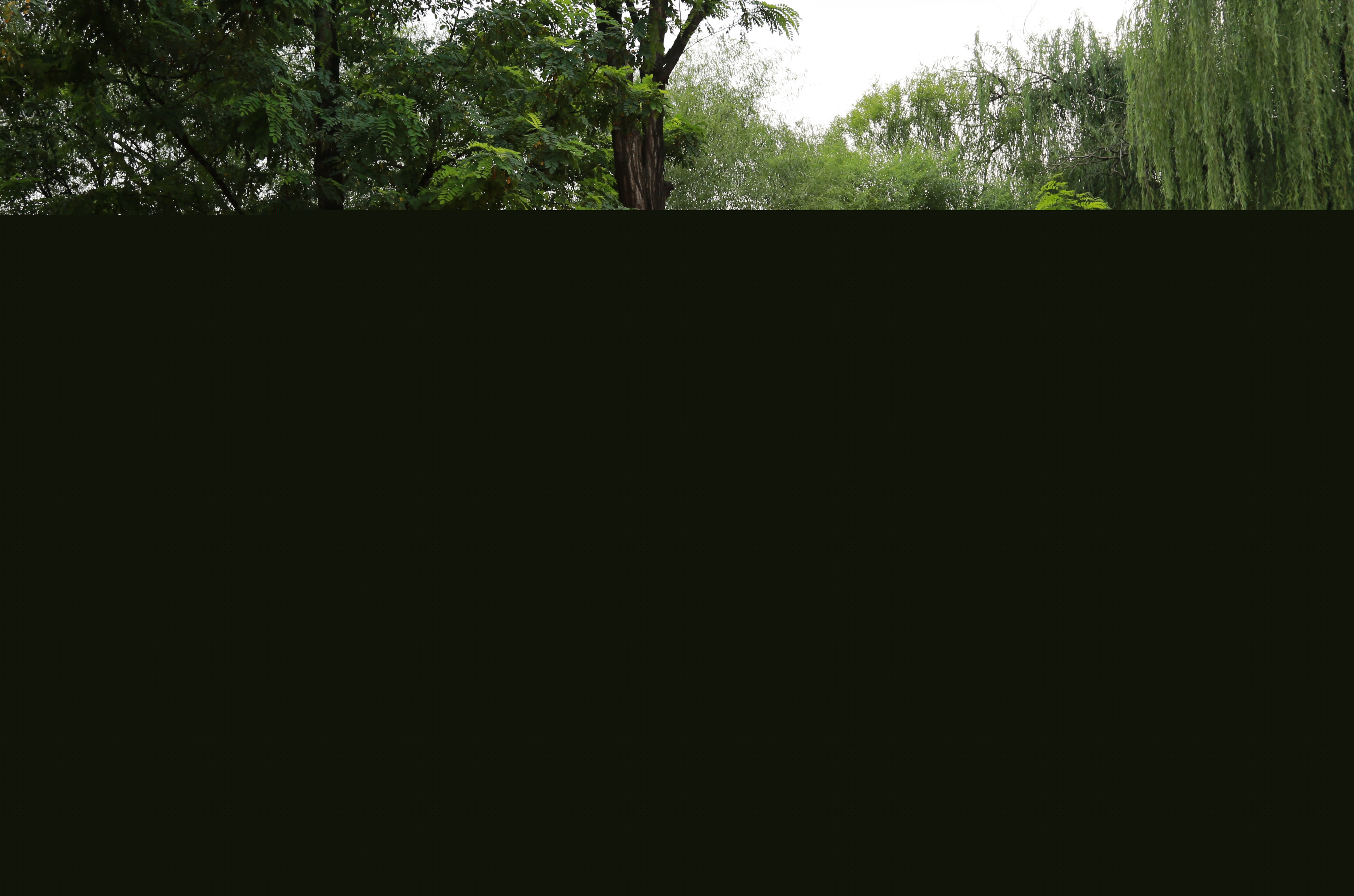 372a1877_%e7%9c%8b%e5%9b%be%e7%8e%8b